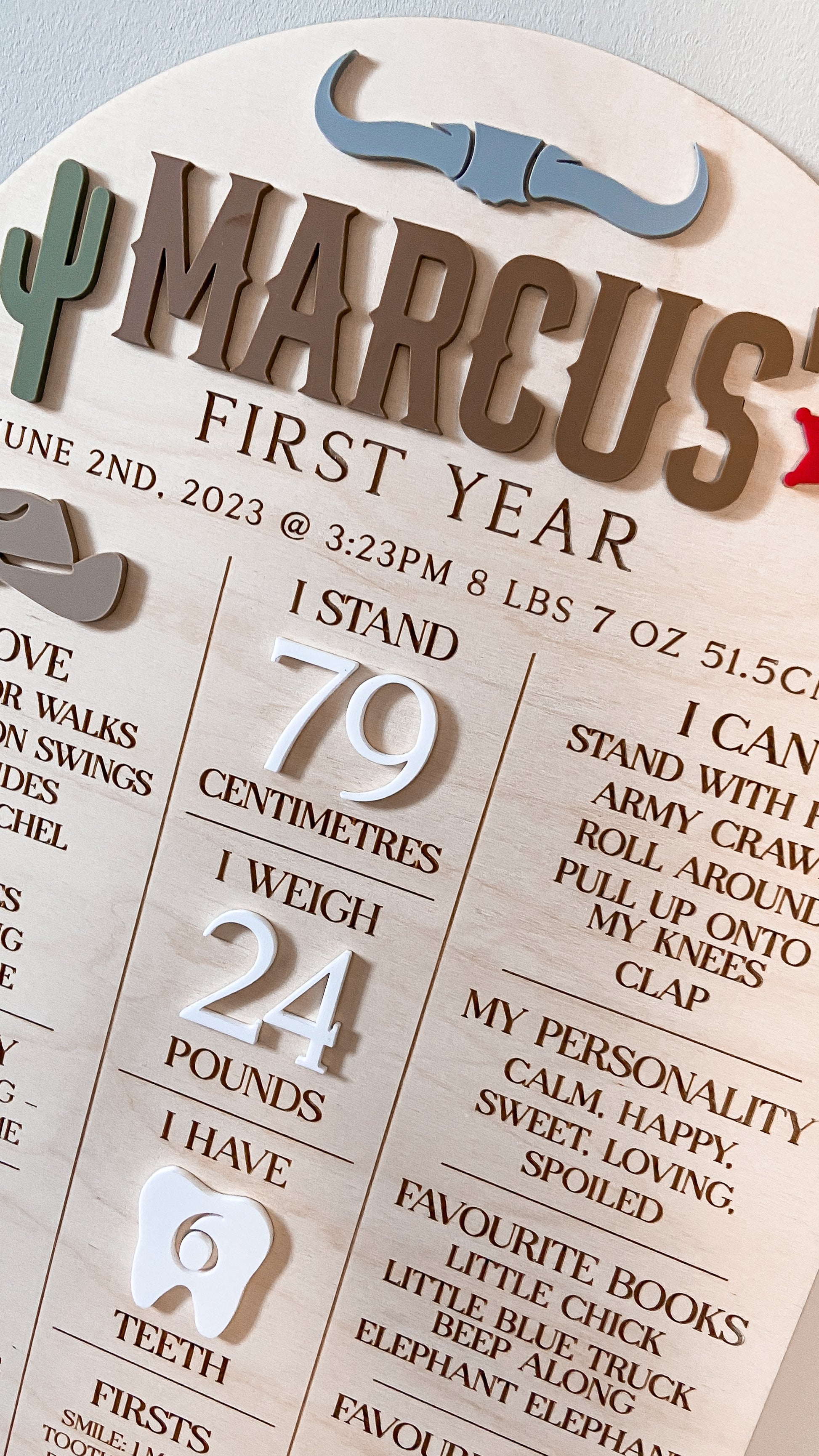 First Birthday Milestone Info Board - Custom Designed - The Cozy Nest Handmade