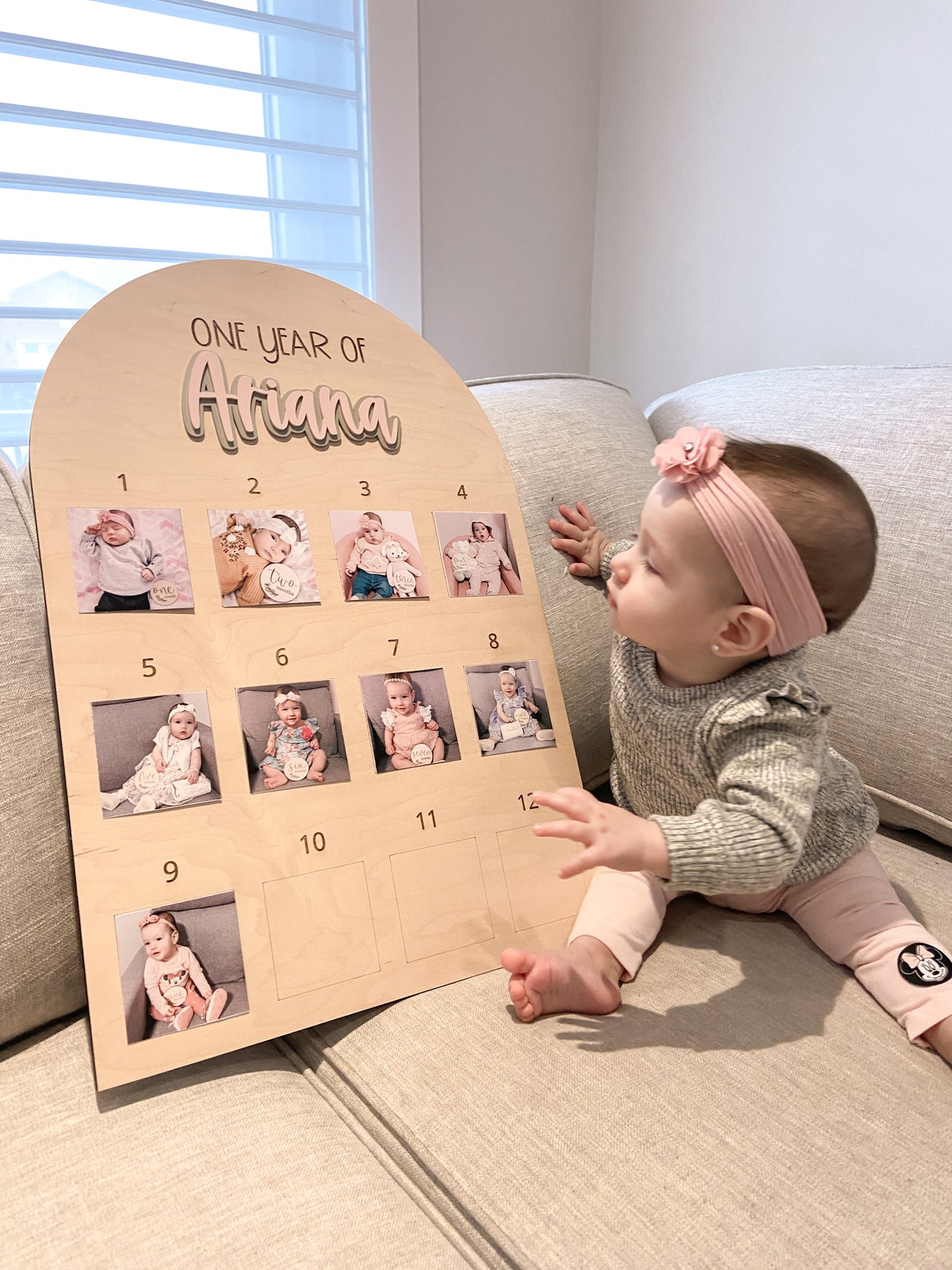 Baby's First Year Photo Display Board