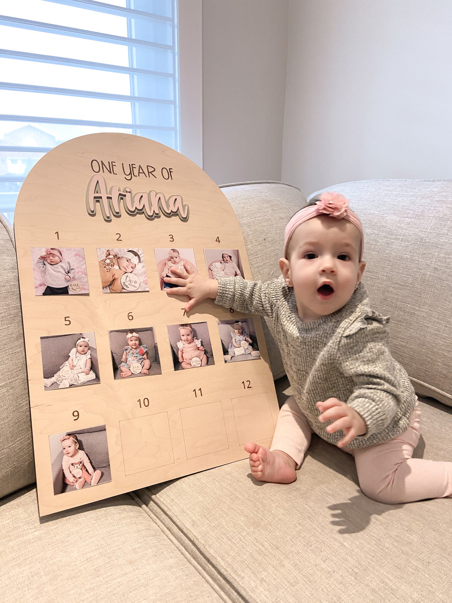 Baby's First Year Photo Display Board